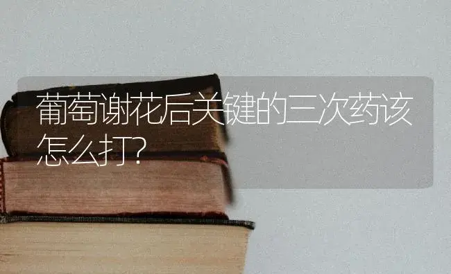 葡萄谢花后关键的三次药该怎么打？ | 果木种植