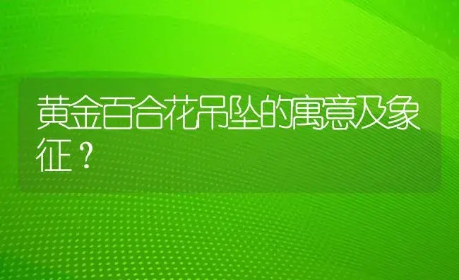 黄金百合花吊坠的寓意及象征？ | 绿植常识