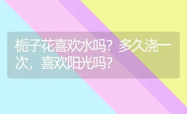 栀子花喜欢水吗？多久浇一次，喜欢阳光吗？ | 绿植常识