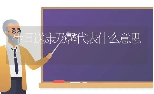 生日送康乃馨代表什么意思？ | 绿植常识