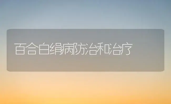 百合白绢病防治和治疗 | 家庭养花