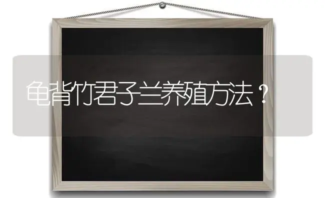 龟背竹君子兰养殖方法？ | 绿植常识