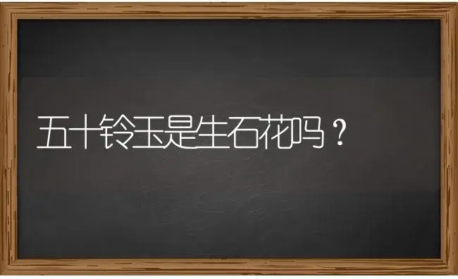 五十铃玉是生石花吗？ | 多肉养殖