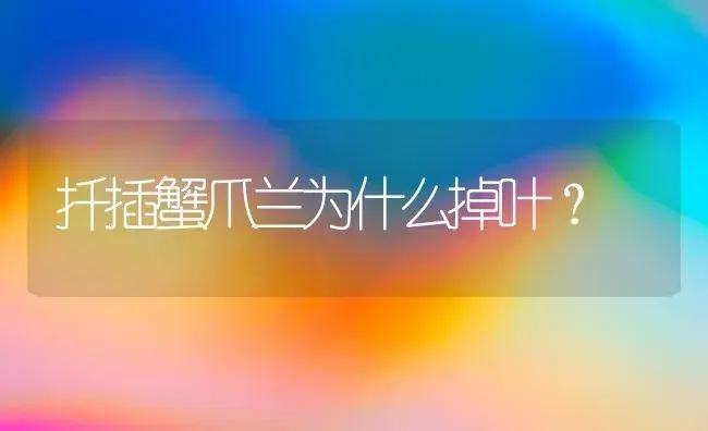 扦插蟹爪兰为什么掉叶？ | 多肉养殖