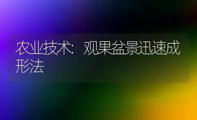 农业技术:观果盆景迅速成形法 | 家庭养花