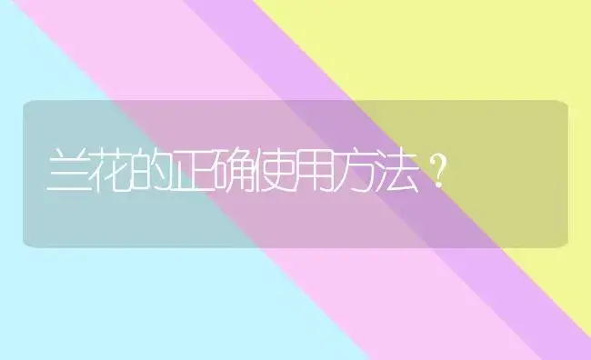 水培风信子的瓶子还可以养什么？ | 绿植常识