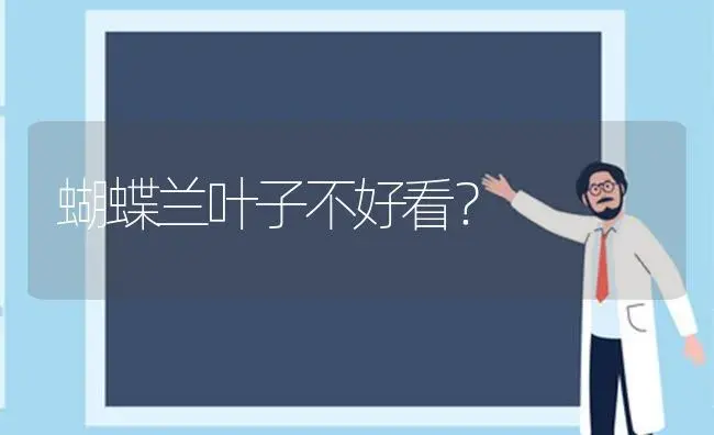 蝴蝶兰叶子不好看？ | 绿植常识