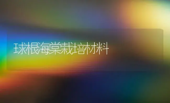 球根海棠栽培材料 | 家庭养花