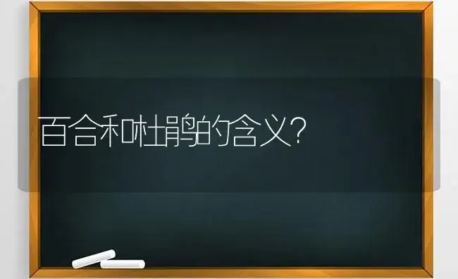 百合和杜鹃的含义？ | 绿植常识