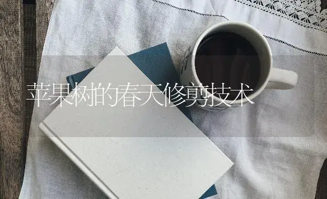 苹果树的春天修剪技术 | 果木种植