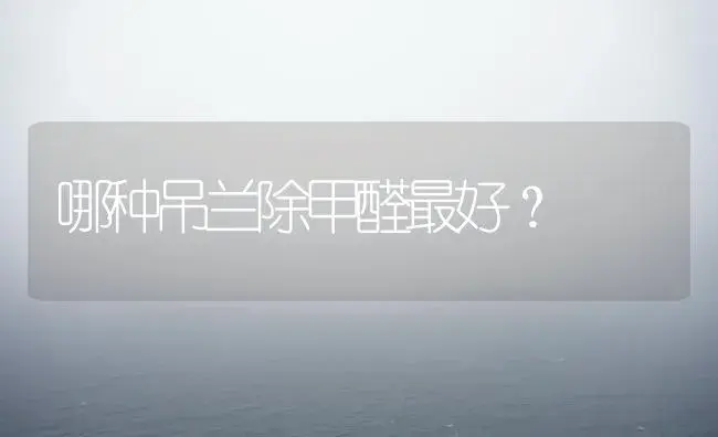 哪种吊兰除甲醛最好？ | 家庭养花