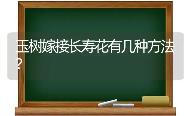 玉树嫁接长寿花有几种方法？ | 多肉养殖