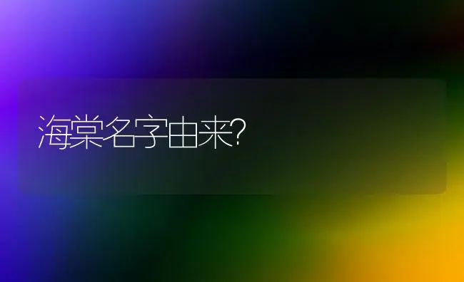 海棠名字由来？ | 绿植常识