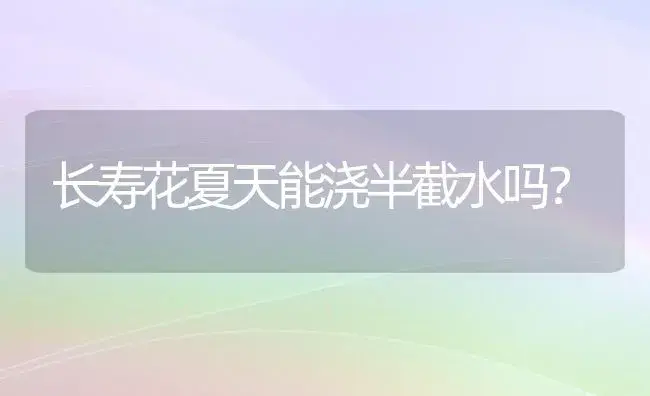 长寿花夏天能浇半截水吗？ | 多肉养殖