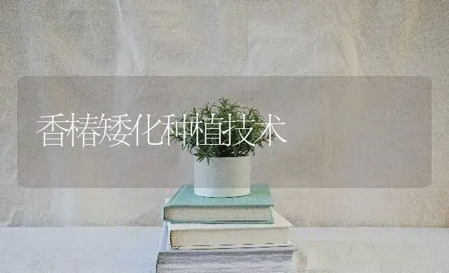 香椿矮化种植技术 | 特种种植