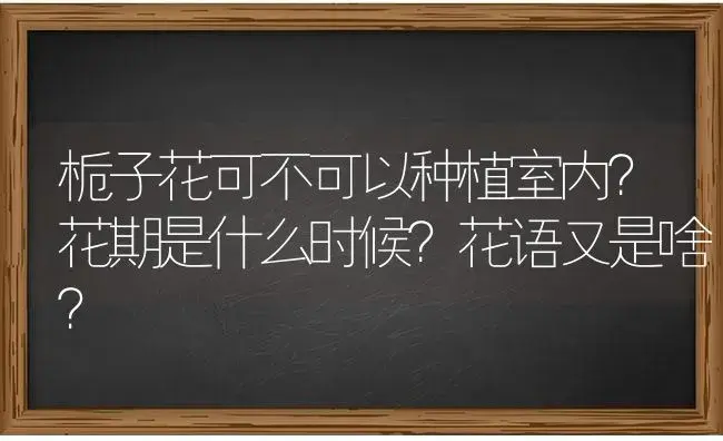 栀子花可不可以种植室内？花期是什么时候？花语又是啥？ | 绿植常识