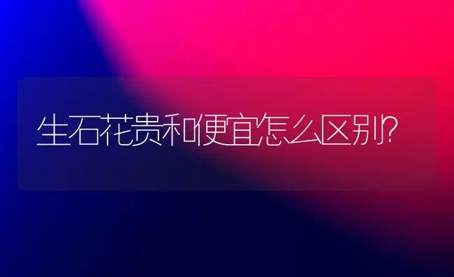 生石花贵和便宜怎么区别？ | 多肉养殖