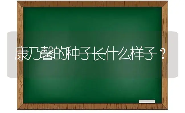 谁可以讲讲水仙花叶子发黄能剪吗？ | 绿植常识