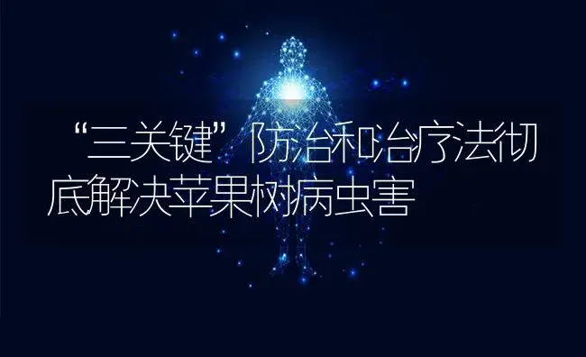 “三关键”防治和治疗法彻底解决苹果树病虫害 | 果木种植