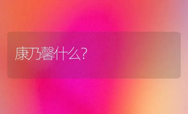 康乃馨什么？ | 绿植常识