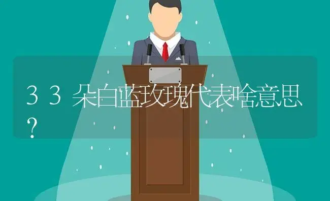 33朵白蓝玫瑰代表啥意思？ | 绿植常识