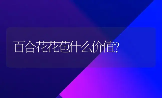 百合花花苞什么价值？ | 绿植常识