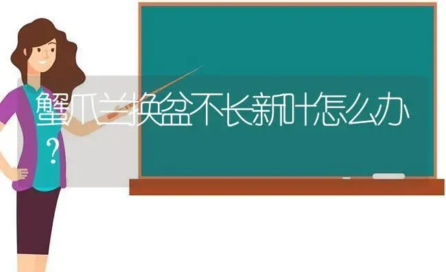 蟹爪兰换盆不长新叶怎么办？ | 多肉养殖