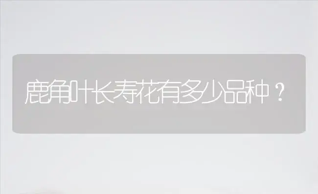 鹿角叶长寿花有多少品种？ | 多肉养殖