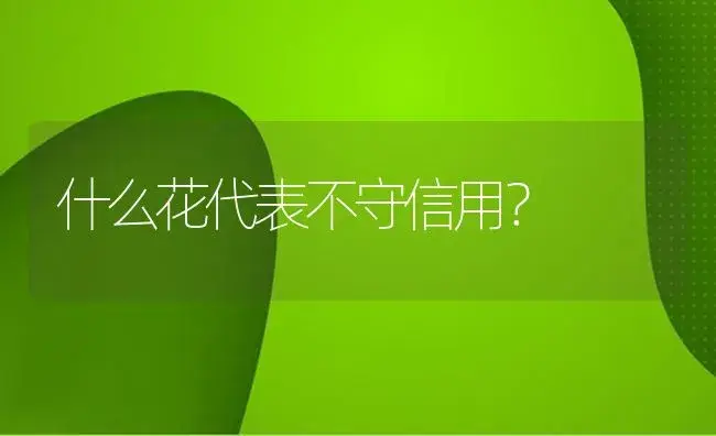 什么花代表不守信用？ | 绿植常识