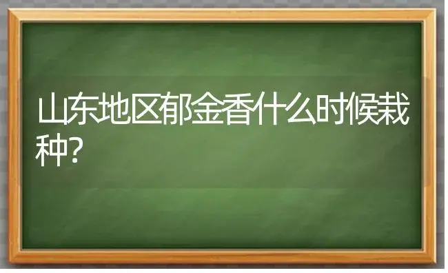 山东地区郁金香什么时候栽种？ | 绿植常识