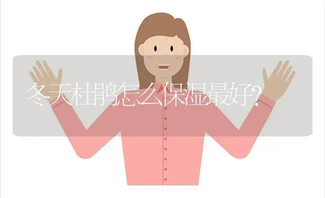 冬天杜鹃怎么保湿最好？ | 绿植常识