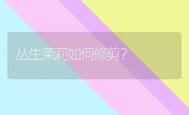 丛生茉莉如何修剪？ | 绿植常识