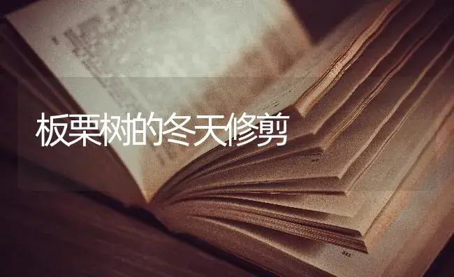 板栗树的冬天修剪 | 特种种植