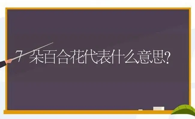 7朵百合花代表什么意思？ | 绿植常识