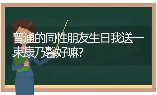 普通的同性朋友生日我送一束康乃馨好嘛？ | 绿植常识