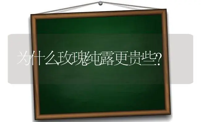 为什么玫瑰纯露更贵些？ | 绿植常识