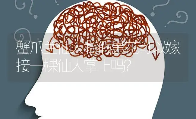 蟹爪兰仙人指假昙花可以嫁接一棵仙人掌上吗？ | 多肉养殖