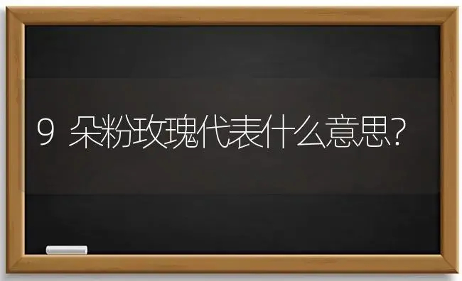 9朵粉玫瑰代表什么意思？ | 绿植常识