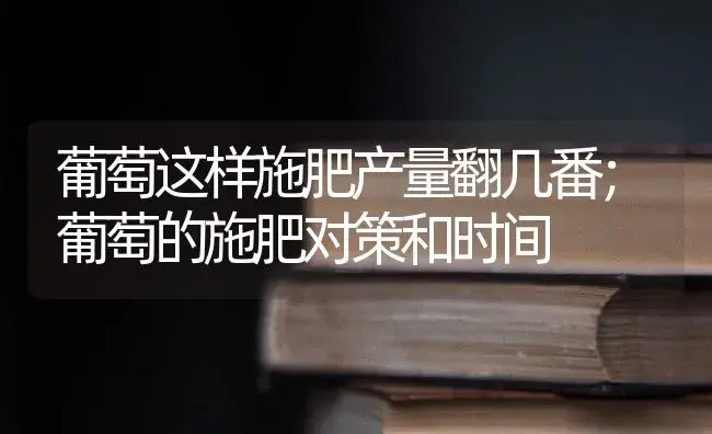 葡萄这样施肥产量翻几番；葡萄的施肥对策和时间 | 果木种植