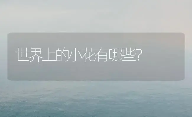 世界上的小花有哪些？ | 绿植常识