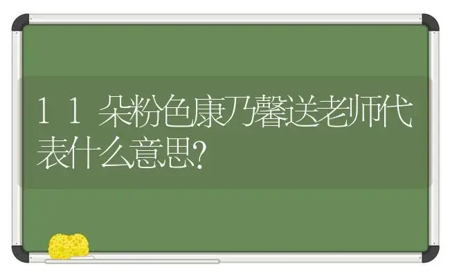 11朵粉色康乃馨送老师代表什么意思？ | 绿植常识