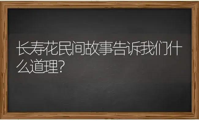 长寿花民间故事告诉我们什么道理？ | 多肉养殖