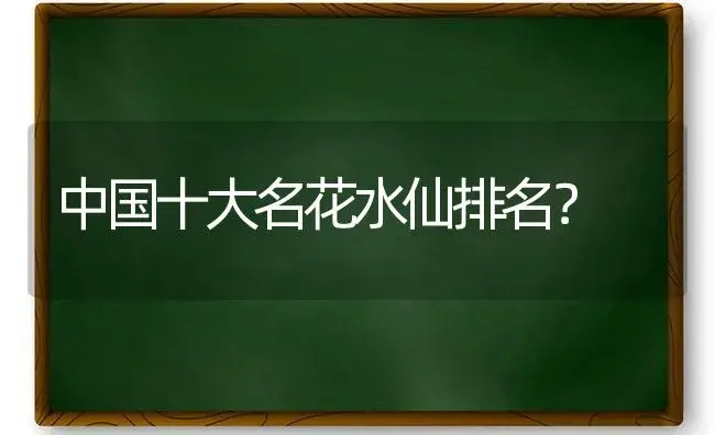 中国十大名花水仙排名？ | 绿植常识