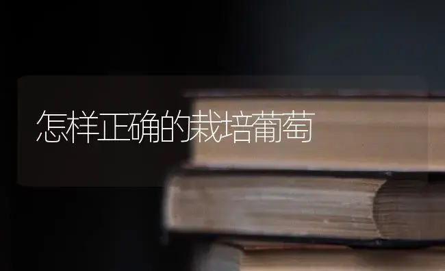 怎样正确的栽培葡萄 | 果木种植