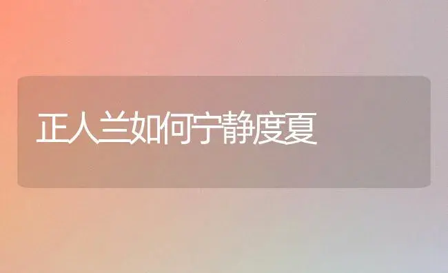 正人兰如何宁静度夏 | 家庭养花