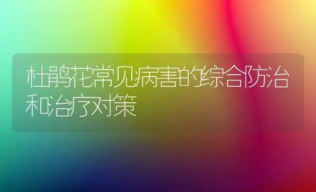 杜鹃花常见病害的综合防治和治疗对策 | 家庭养花