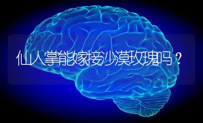 仙人掌能嫁接沙漠玫瑰吗？ | 多肉养殖