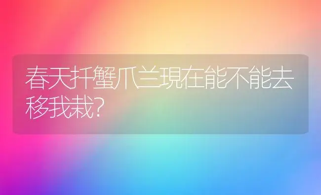 春天扦蟹爪兰現在能不能去移我栽？ | 多肉养殖