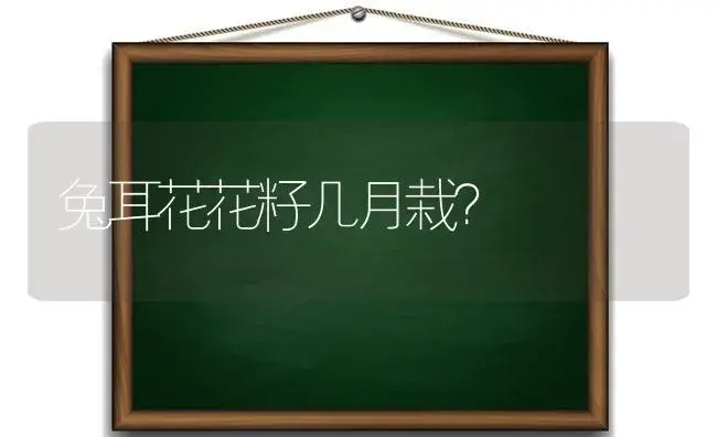 兔耳花花籽几月栽？ | 多肉养殖