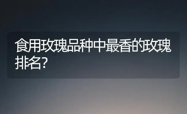 食用玫瑰品种中最香的玫瑰排名？ | 绿植常识